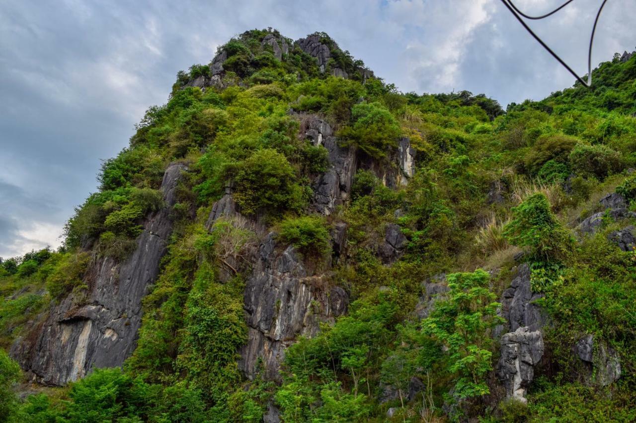 Phong Nha Orient Hotel Zewnętrze zdjęcie